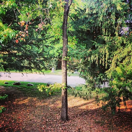 Agroturismo Le 5 Frecce *